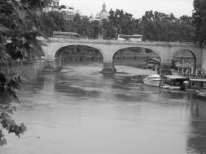 308_1013591671397_1703_n